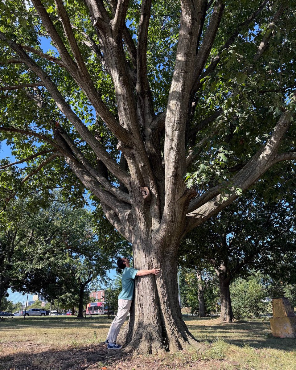 Casey Trees tweet media