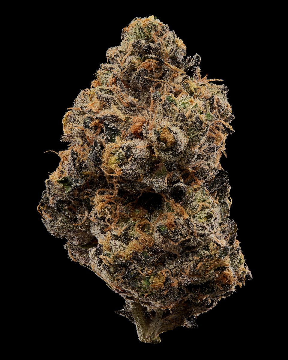 Black Tie | Premium THC-A tweet media
