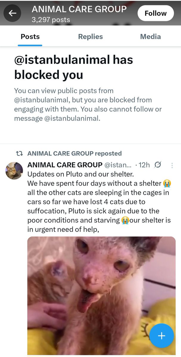 TWS (@tws_pk2) on Twitter photo The scammers <a href="/istanbulanimal/">ANIMAL CARE GROUP</a> are still continuing with their scam activities. I am blocked so could you please warn people not to donate, sadly it looks like more people have donated for this cat that is not with them. They block anyone who offers to help them with this cat The scammers <a href="/istanbulanimal/">ANIMAL CARE GROUP</a> are still continuing with their scam activities. I am blocked so could you please warn people not to donate, sadly it looks like more people have donated for this cat that is not with them. They block anyone who offers to help them with this cat