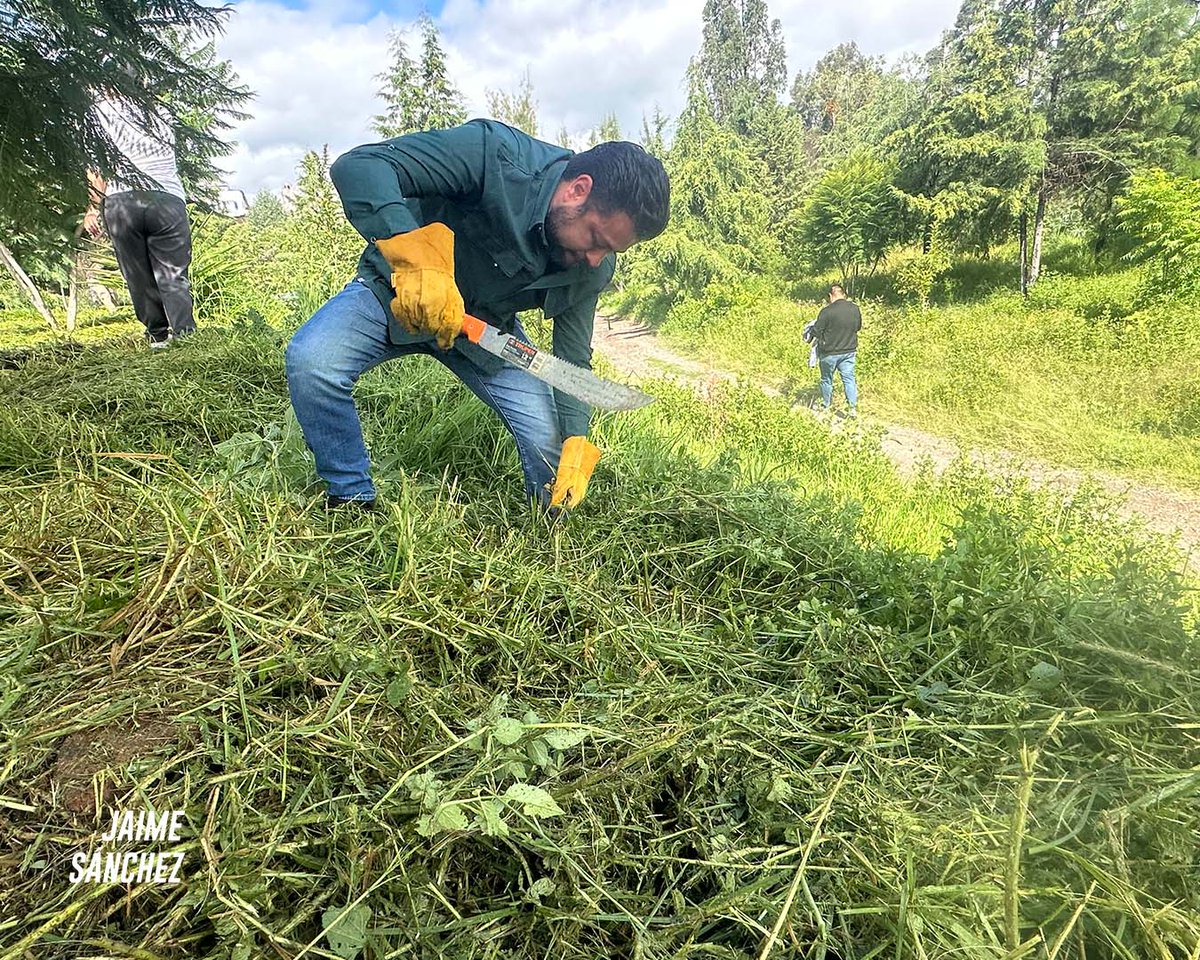 ¡Unidos por un mejor espacio para todos!💚Se realizó una faena  comunitaria en la Unidad Deportiva de Ángeles Blancos, con la  participación de vecinos, personal del H. Ayuntamiento y el presidente  municipal Juan Manuel Alonso  ¡Gracias a todos por sumar esfuerzos! #familiaverde