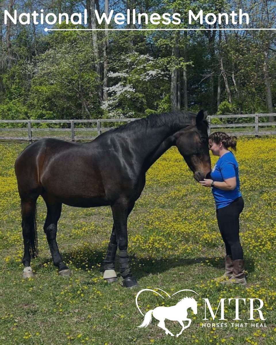 Maryland Therapeutic Riding tweet media