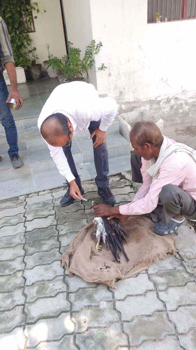 <a href="/PetaIndia/">PETA India</a> <a href="/INF_OFFICIAL_01/">INF HEADQUARTERS</a>