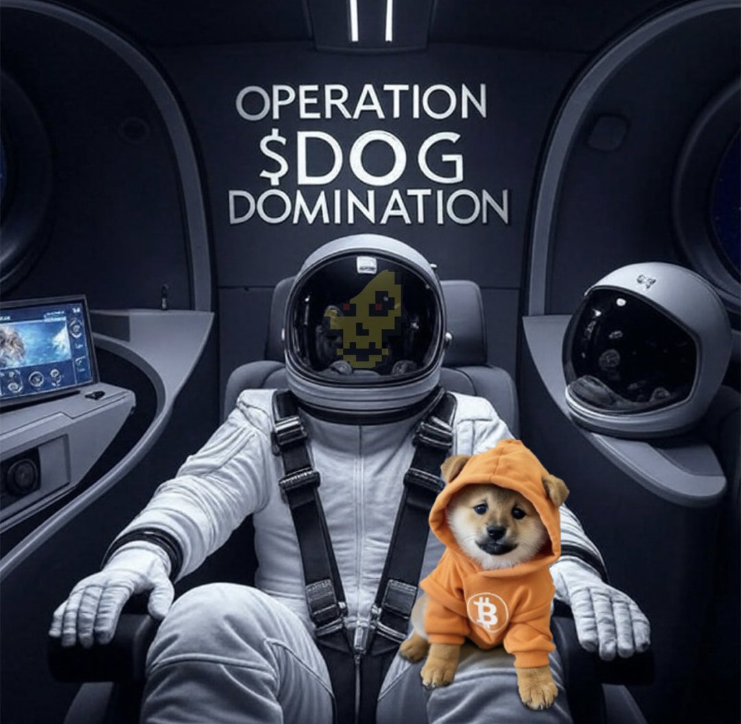 Bitcornio$DOGππβ€οΈ (@bitcornio) on Twitter photo <a href="/cryptolution101/">Vincent (Cryptolution) π</a> <a href="/C2Blockchain/">C2 Blockchain Inc</a> <a href="/C2Blockchain/">C2 Blockchain Inc</a> is a $DOG rocket ship! The $DOG family are the passengers!
I hope everyone's bags are packed and ready for launch!π―ππ«Άπ½π
The clock is ticking family... <a href="/cryptolution101/">Vincent (Cryptolution) π</a> <a href="/C2Blockchain/">C2 Blockchain Inc</a> <a href="/C2Blockchain/">C2 Blockchain Inc</a> is a $DOG rocket ship! The $DOG family are the passengers!
I hope everyone's bags are packed and ready for launch!π―ππ«Άπ½π
The clock is ticking family...