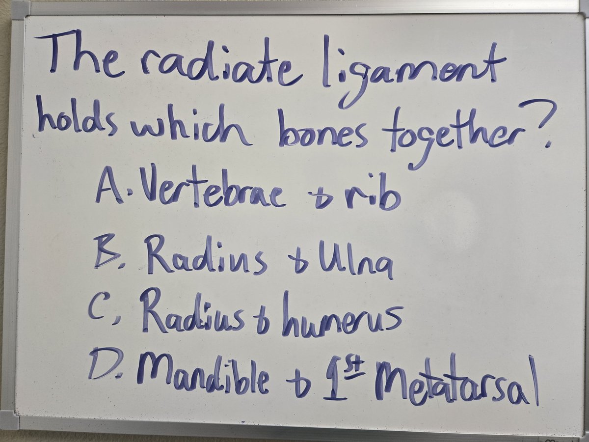 Happy Wednesday! I'll be in from 2-6.