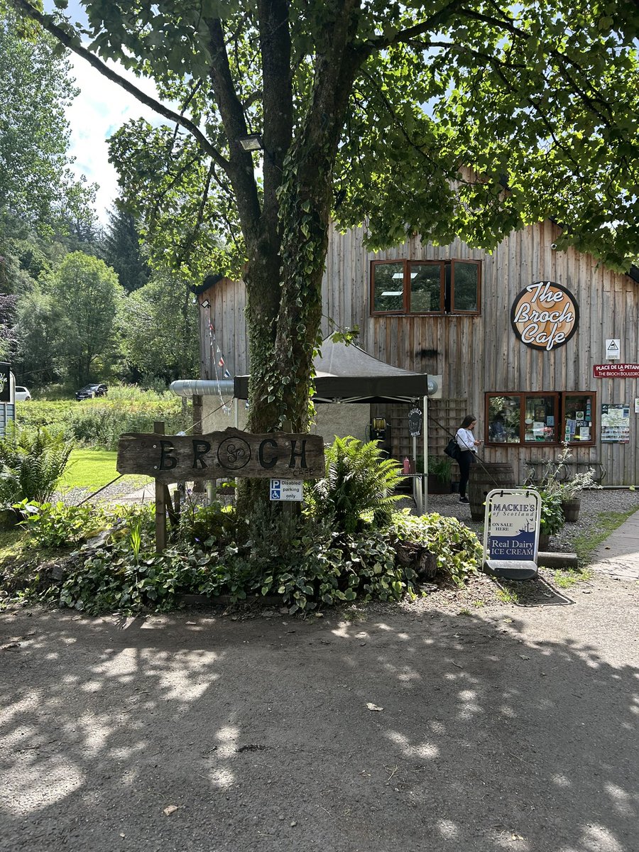 Fiona Loose tweet media