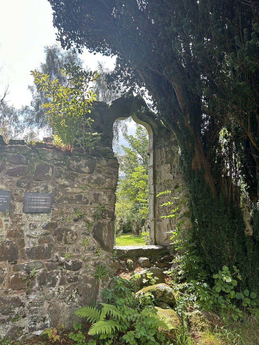 Fiona Loose tweet media