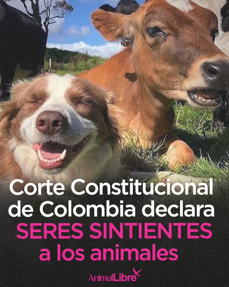 🔽🔽🔽🔽🔽🔽🔽🔽🔽🔽

👏👏👏👏👏👏👏👏