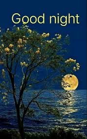 Time to say Good Night Everyone-
May peace and calm follow you tonight.

#WritingCommunity #wednesdaythought #wednesdaywishes #GoodNightX