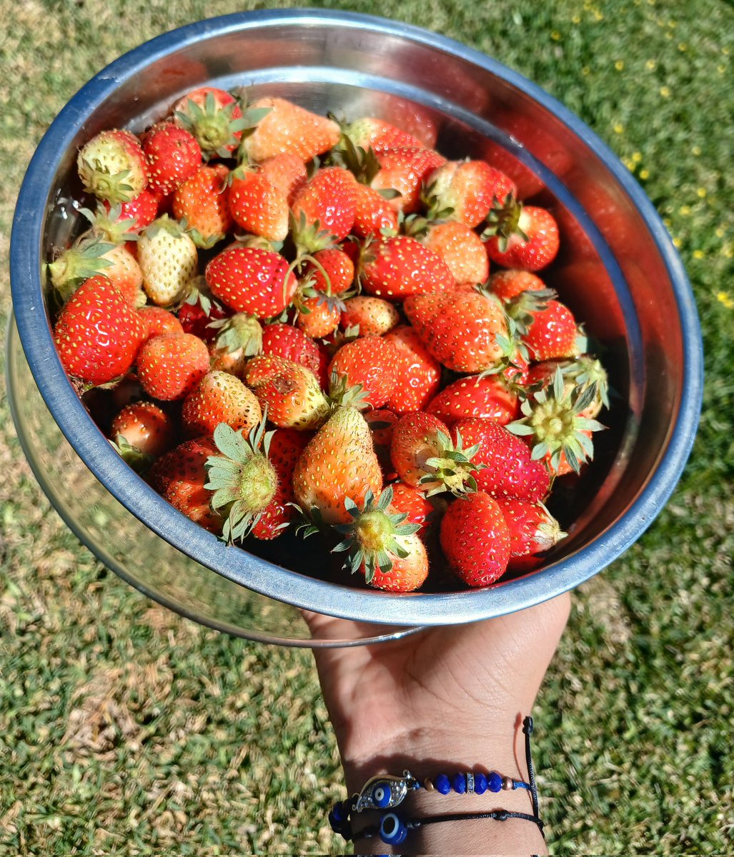 Pordiosssss 😍🤤