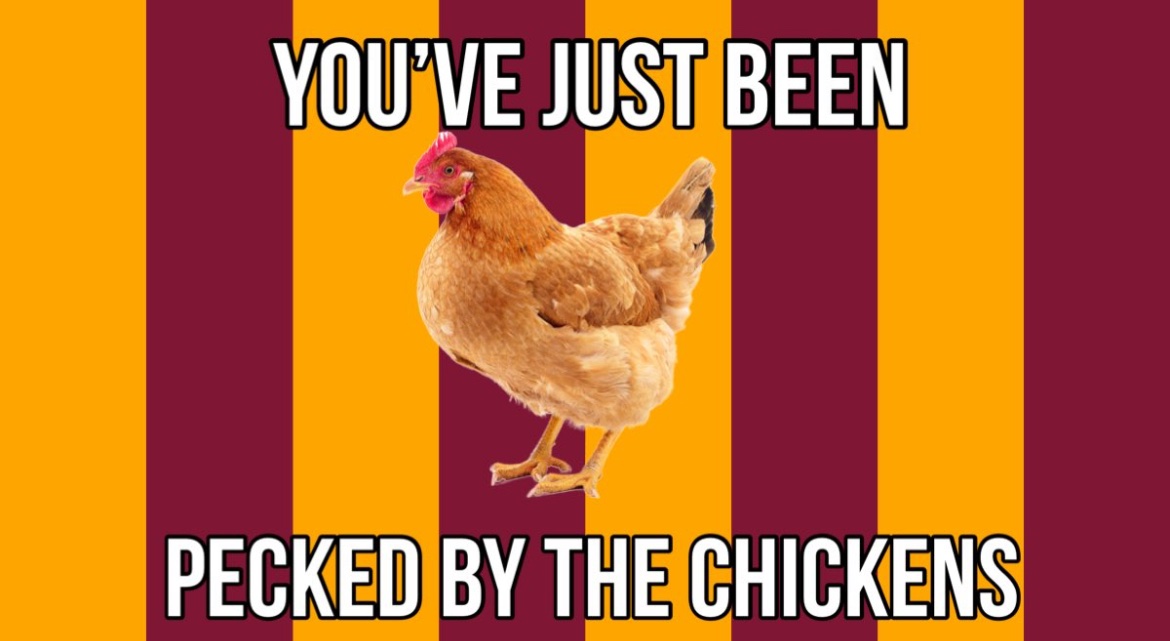 robopegy tweet media