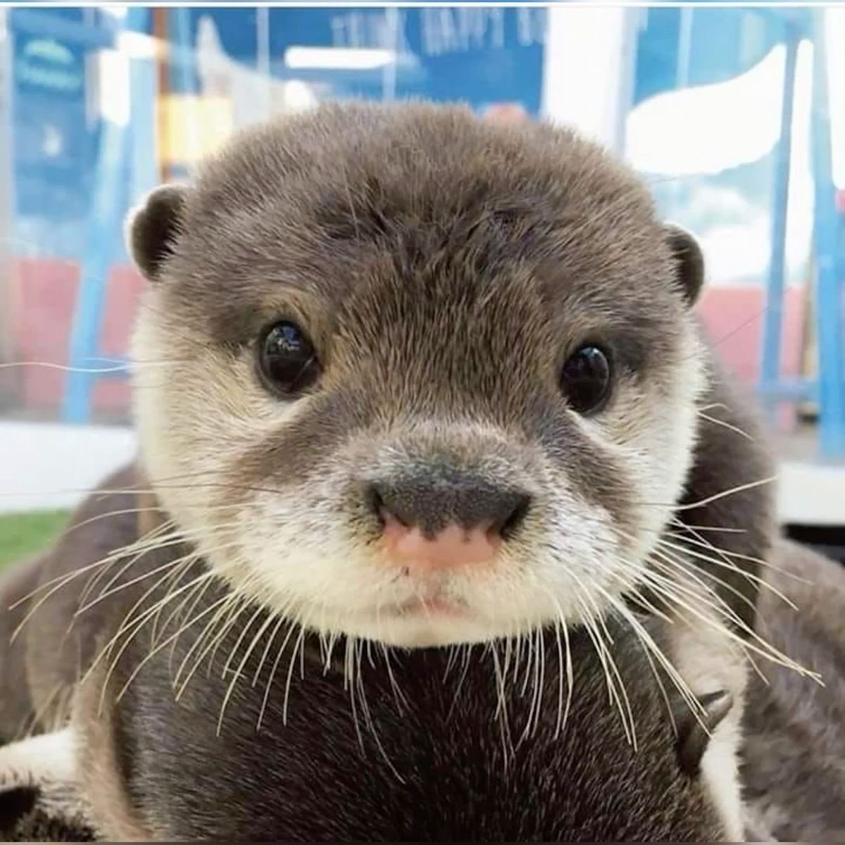 suri (@suricidal) on Twitter photo 