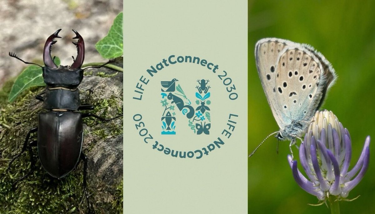 “Comunicare la biodiversità con i nuovi media”. 
Corso online - gratuito - per i comunicatori che si dedicano alla informazione naturalistica. 

ℹ️ piemonteparchi.it/cms/index.php/…