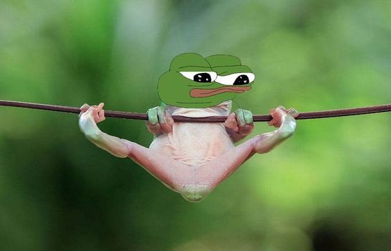 aBowTiedGiraffe's tweet image. NotFeeshForWork

#feesh