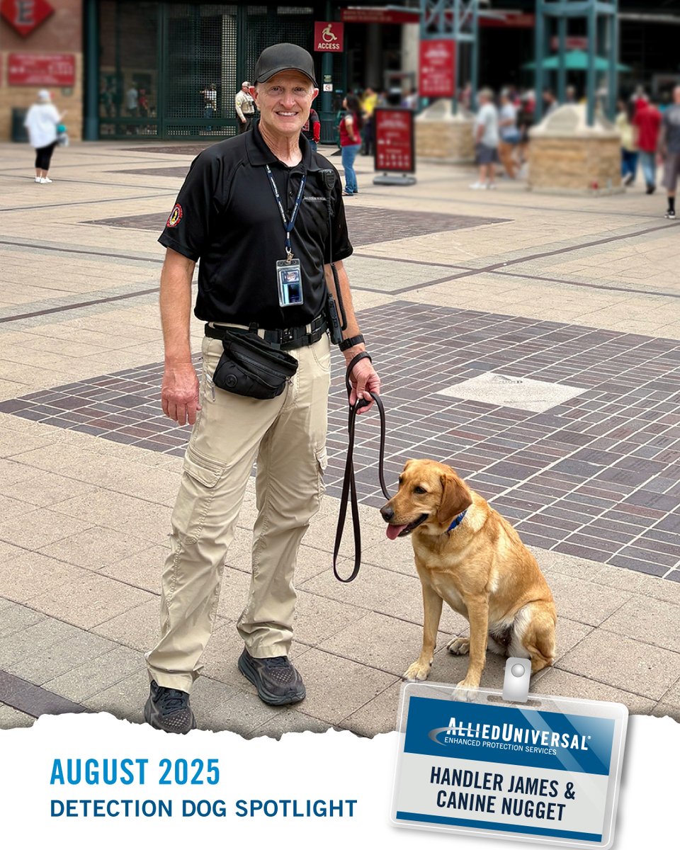 AlliedUniversal's tweet image. K9 “Nugget” and handler Jim Gibson bring precision and focus to every sweep. 

Read their story in our latest Detection Dog Spotlight.
ow.ly/j5vO50WMWL8

#DetectionDogSpotlight #K9Security #ExplosivesDetection #WorkingDog #EnhancedProtectionServices