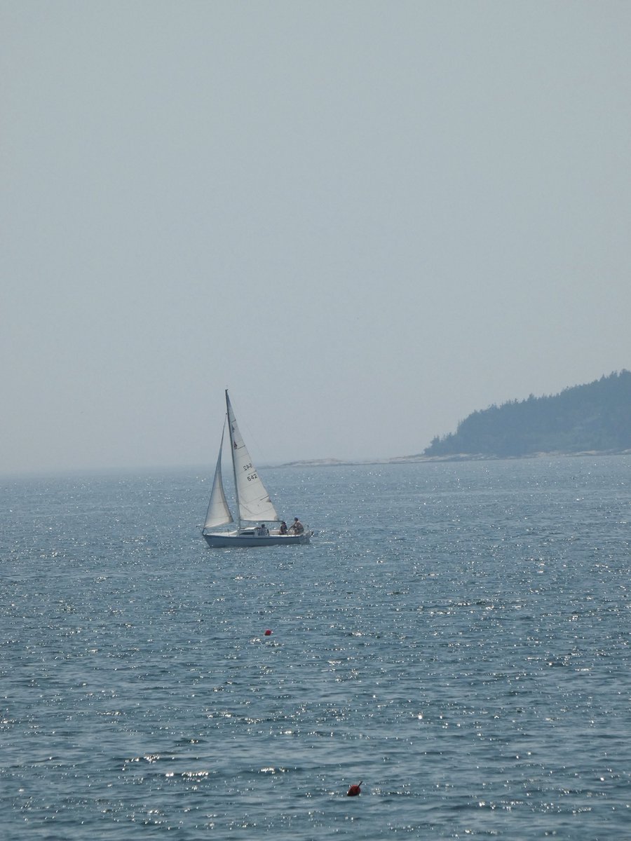 Have a peaceful evening/night all. #nature