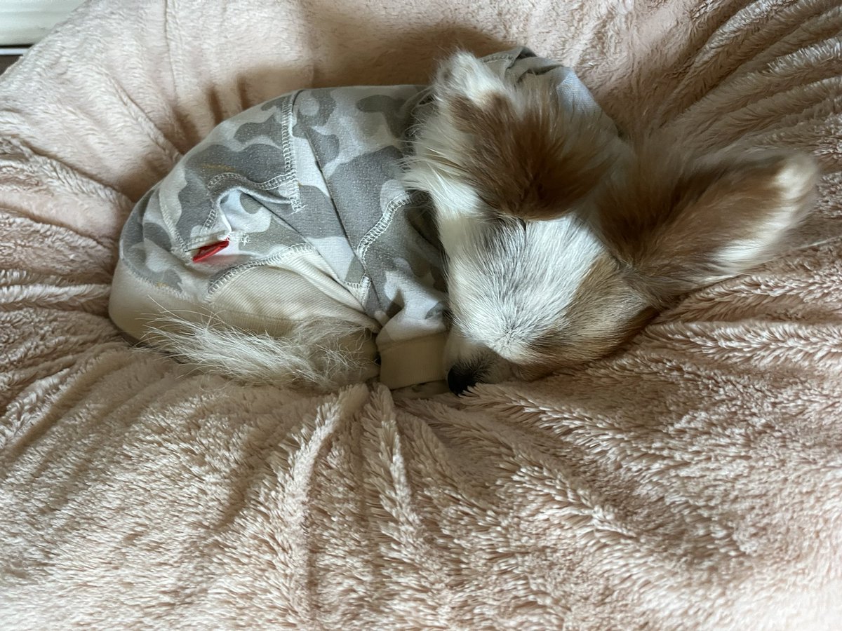 I’m always ready. Even when I’m sleeping.