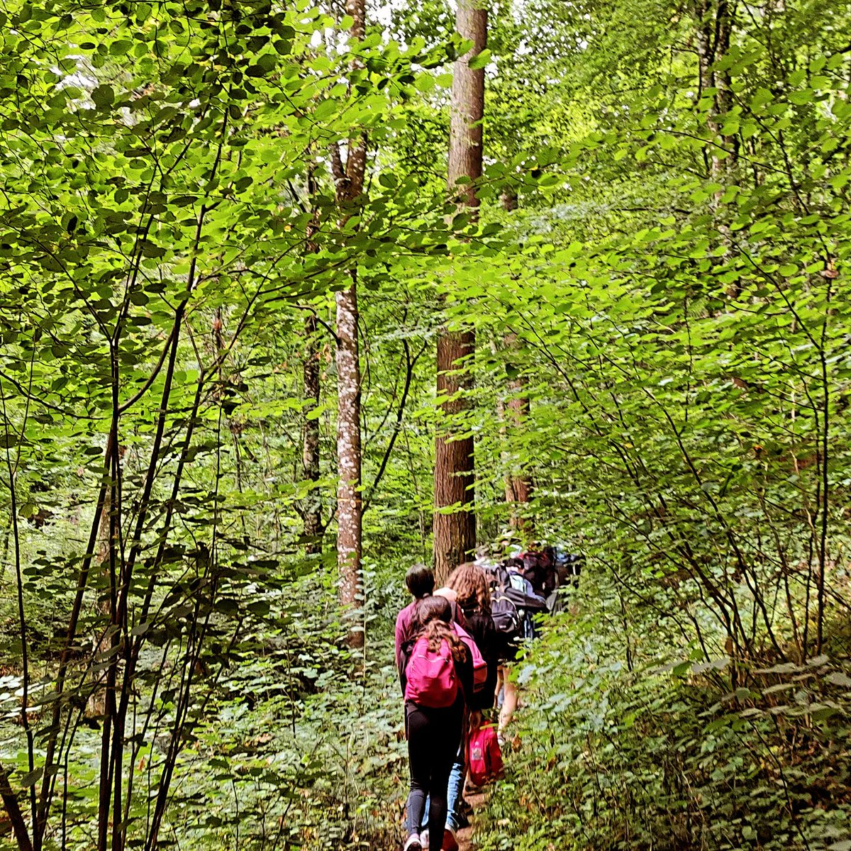 comix35nextgen tweet media