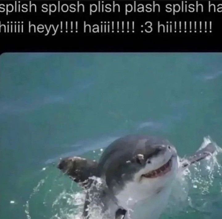 ateez as sharks 🦈 🦈🦈🦈🦈🦈🦈🦈

a #sillytinys 🪡 ~