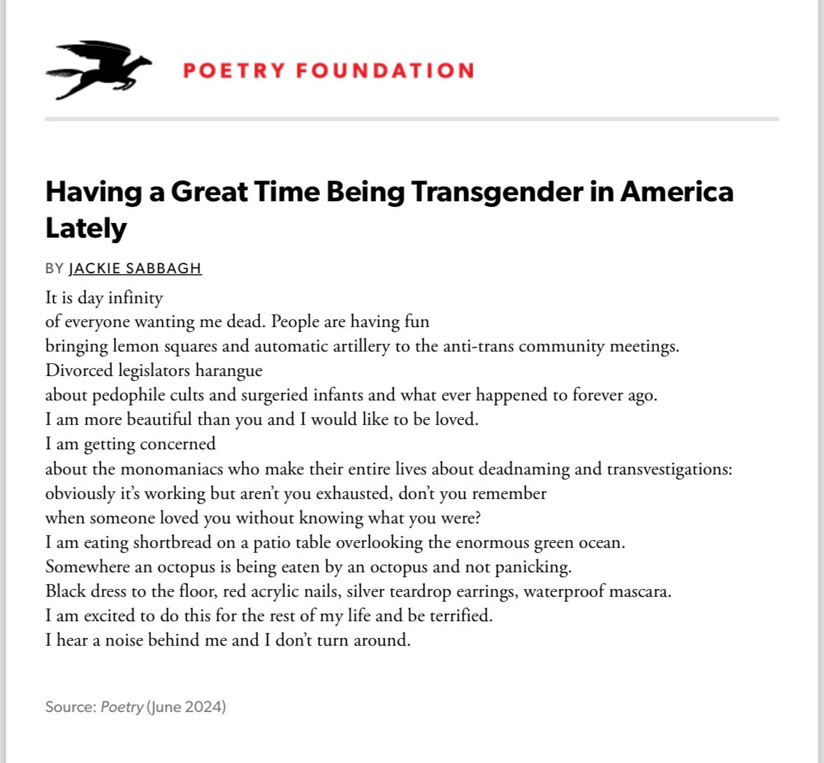 really loving being trans in america rn