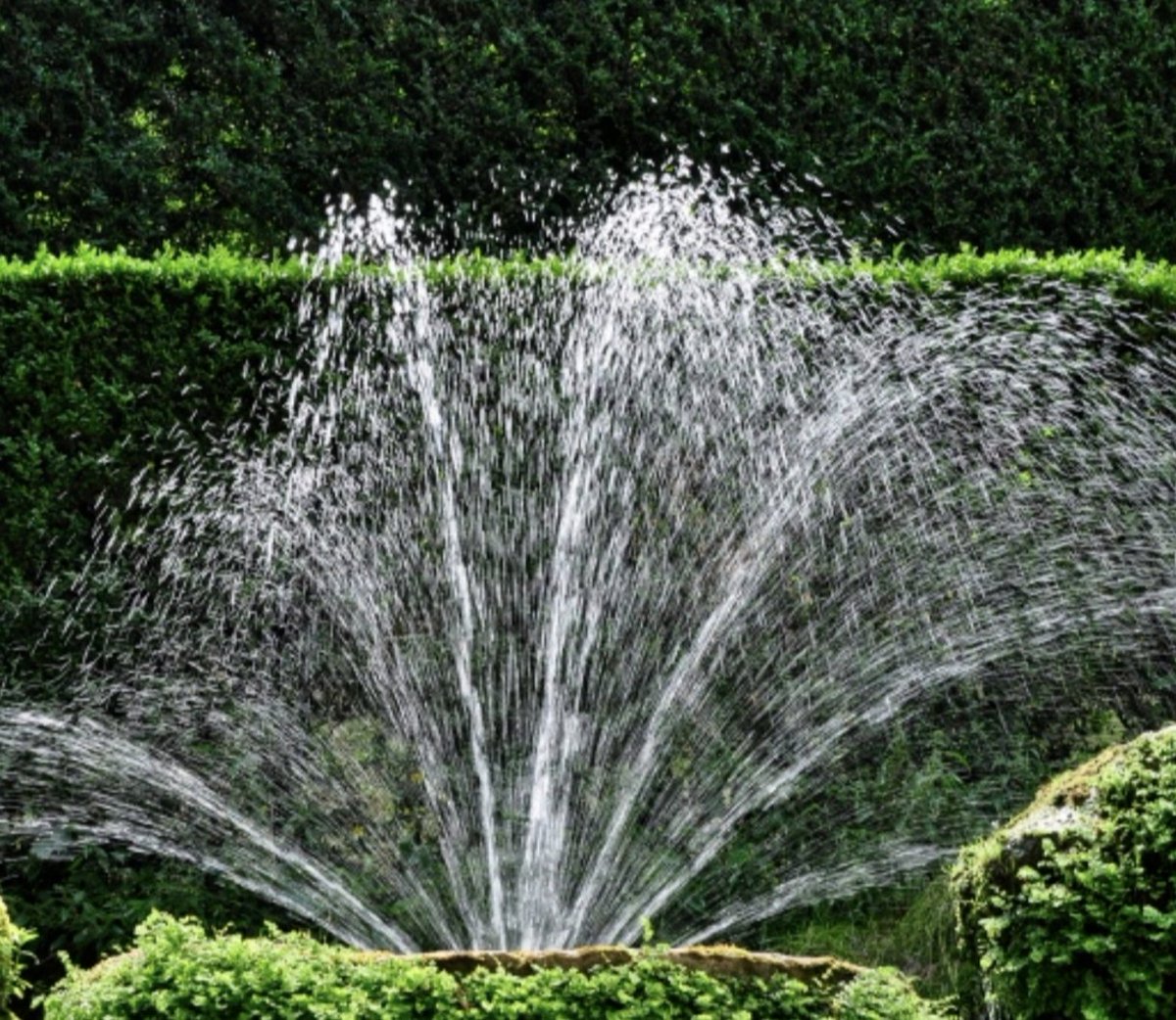 Se positive, 
le #coseInaspettate sono zampilli di felicità...