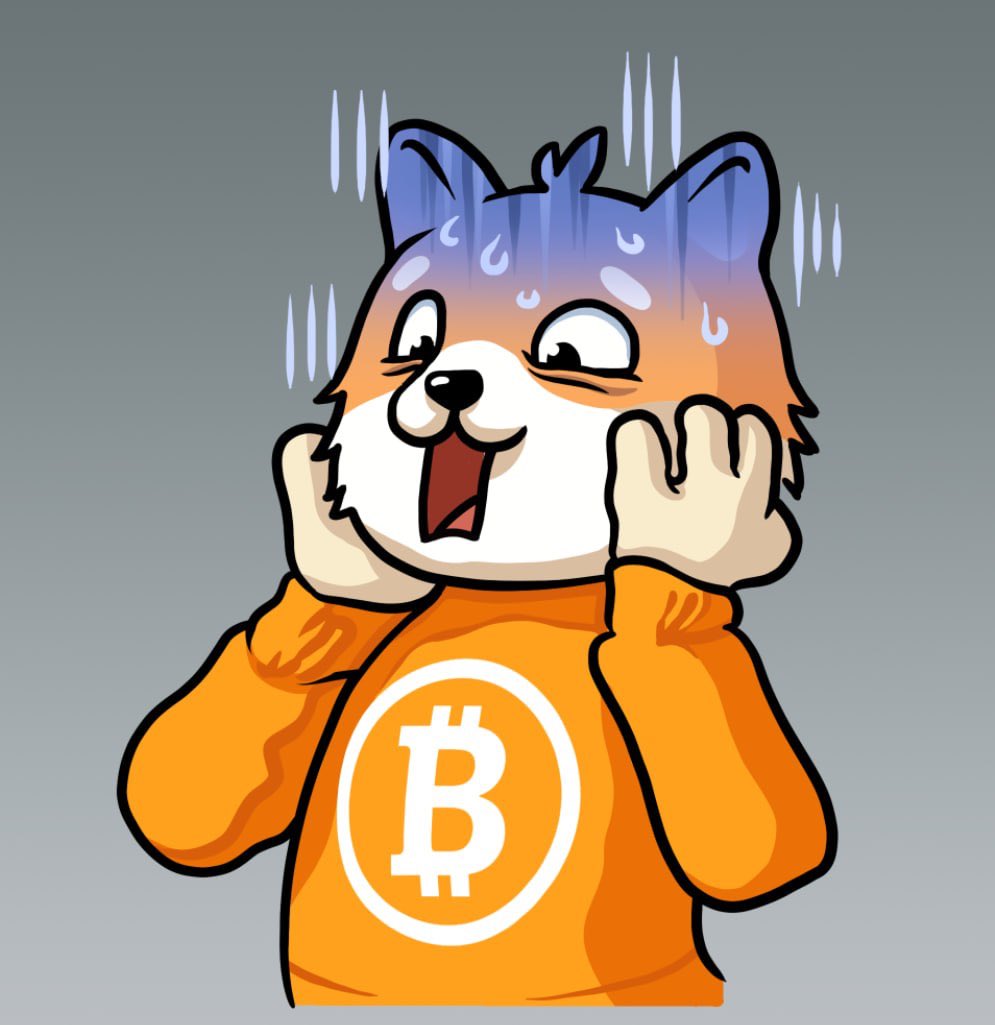 $DOG (@dogofbitcoin) on Twitter photo Yeah, going to conferences is cool but have you really vibed with quality $DOG Army folks including the Nizza Pinjas community on the opposite side of the planet?!
Itβs hard to explain some things $DOG.
#BoostMeCMC
<a href="/CoinMarketCap/">CoinMarketCap</a>
Join us at one of the largest Bitcoin Events Yeah, going to conferences is cool but have you really vibed with quality $DOG Army folks including the Nizza Pinjas community on the opposite side of the planet?!
Itβs hard to explain some things $DOG.
#BoostMeCMC
<a href="/CoinMarketCap/">CoinMarketCap</a>
Join us at one of the largest Bitcoin Events