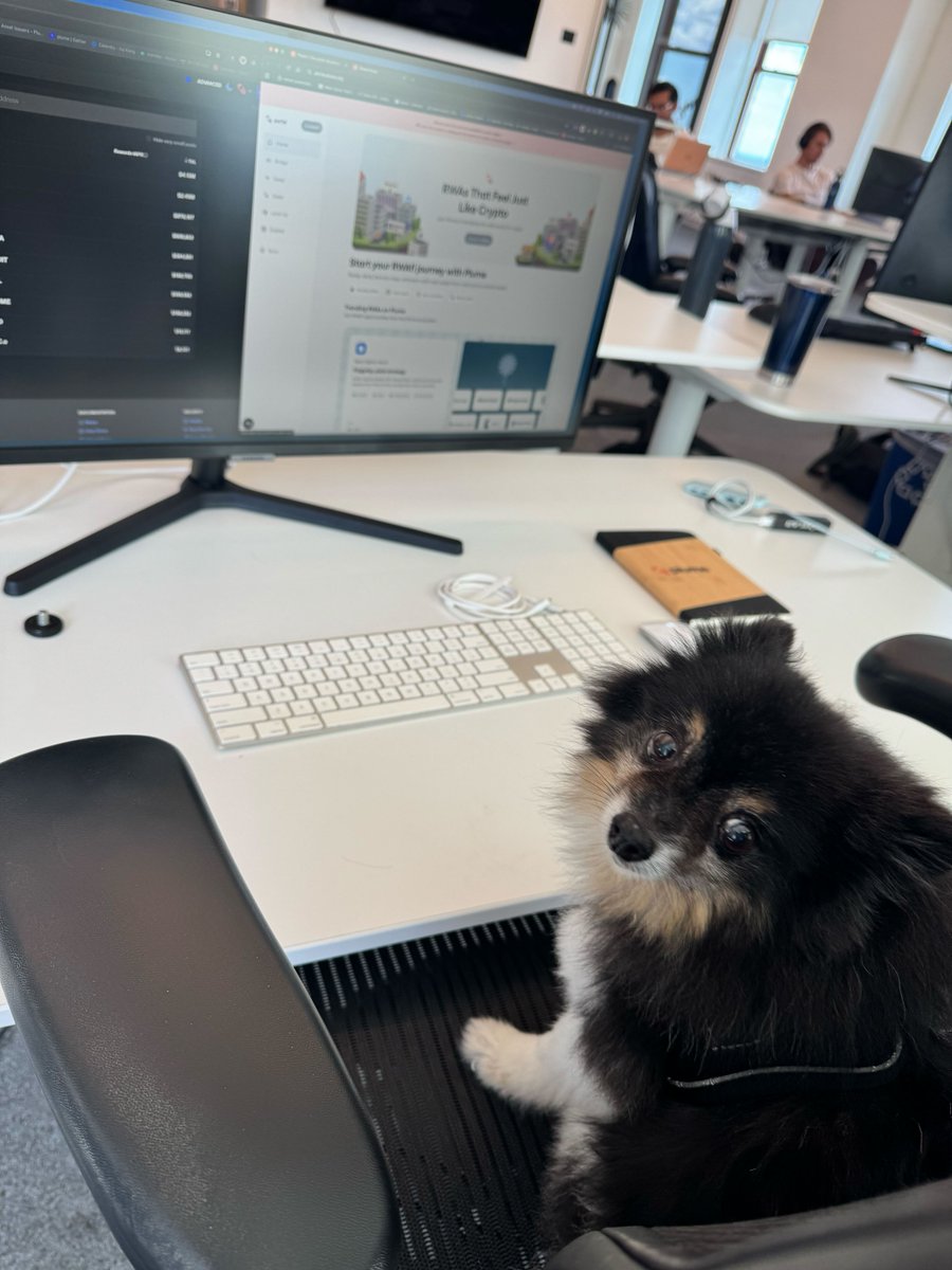 not sure what his role is yet

but bear is definitely bullish on RWAs