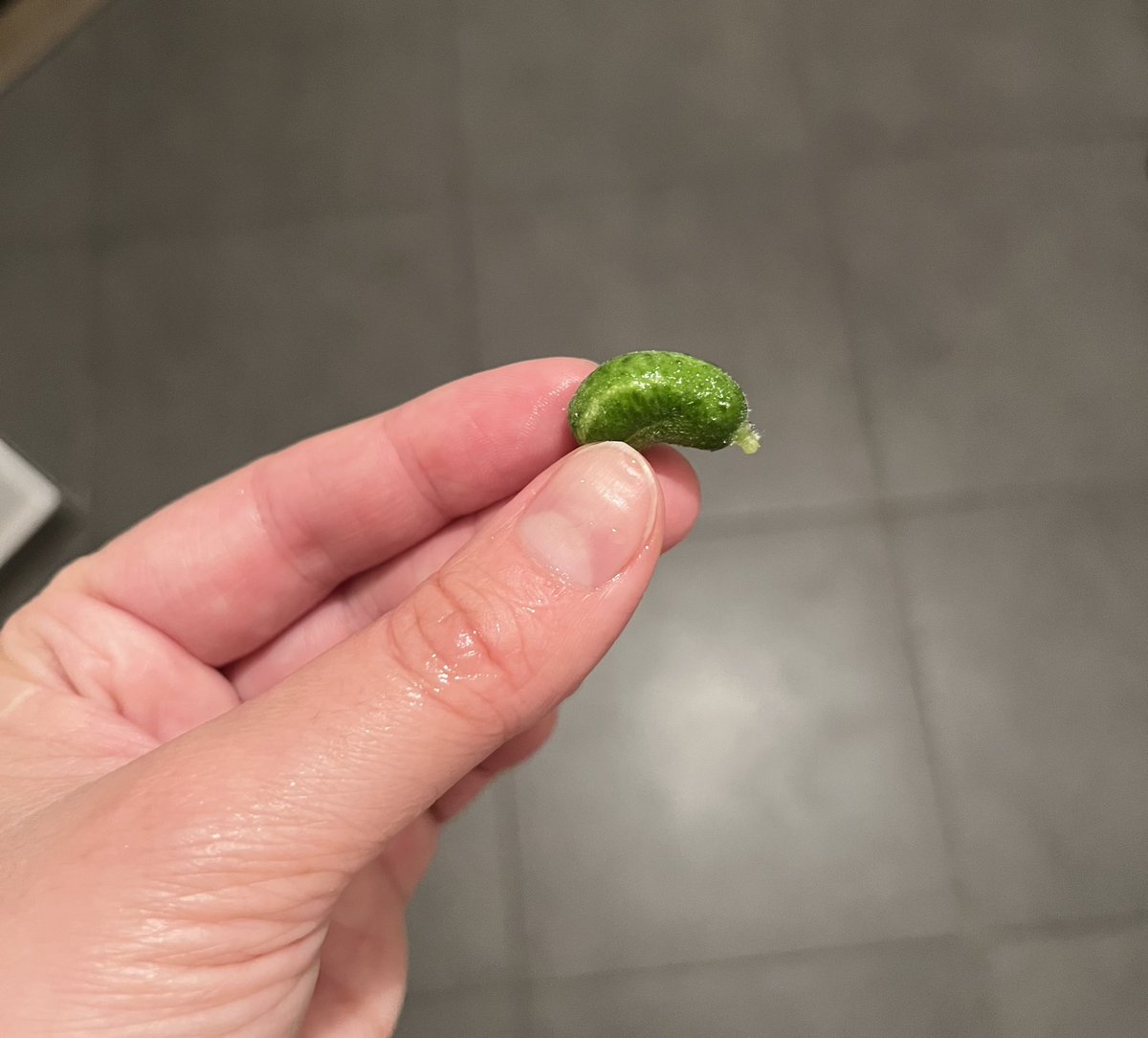 Здесь должна быть шуточка про бывшего. Ну, что выросло, собственно, то выросло. Зато домашние.