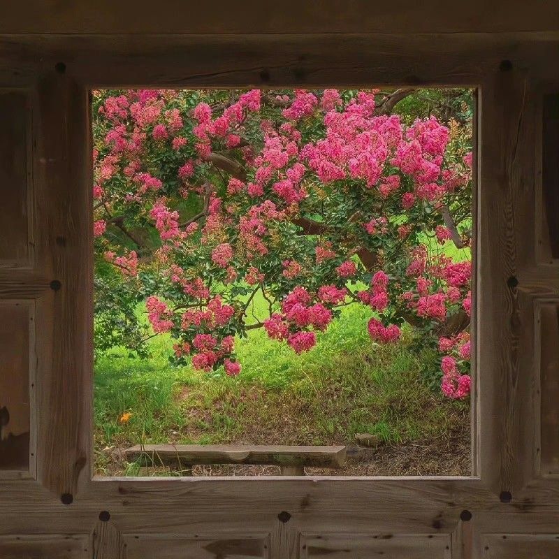 greenvibe's tweet image. 