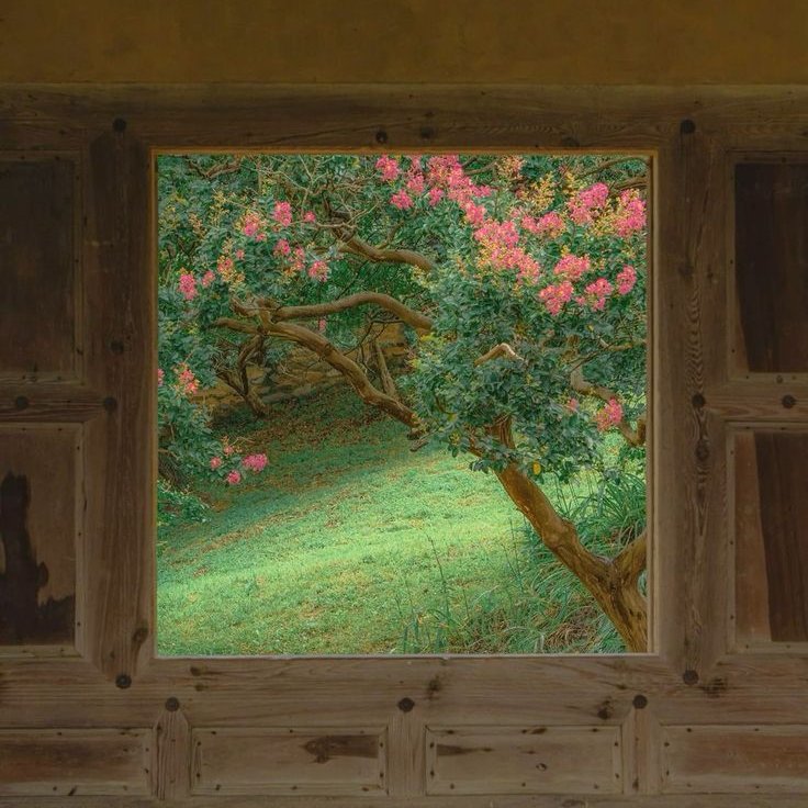 greenvibe's tweet image. 