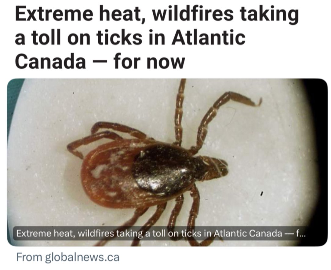 Finally, a feel good story.