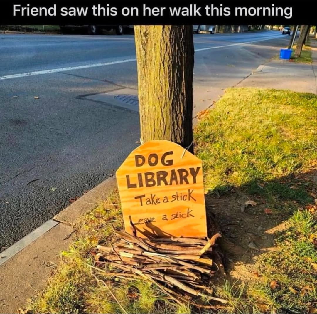 That's awesome! 🤣🤣🤣🤣🤣🤣🤣🤣👍👍👍