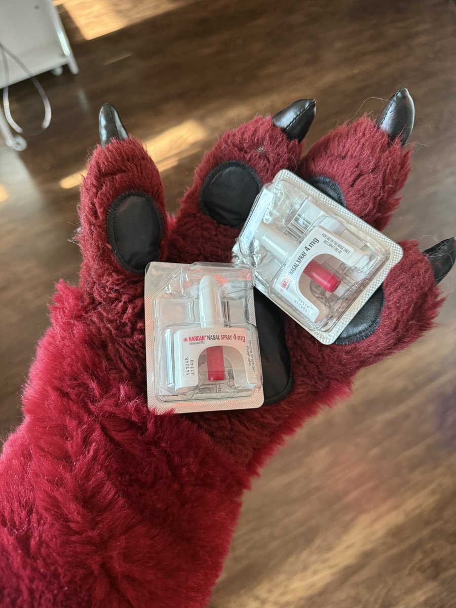 𝙀𝙯𝙤 💫 EDCLV tweet media