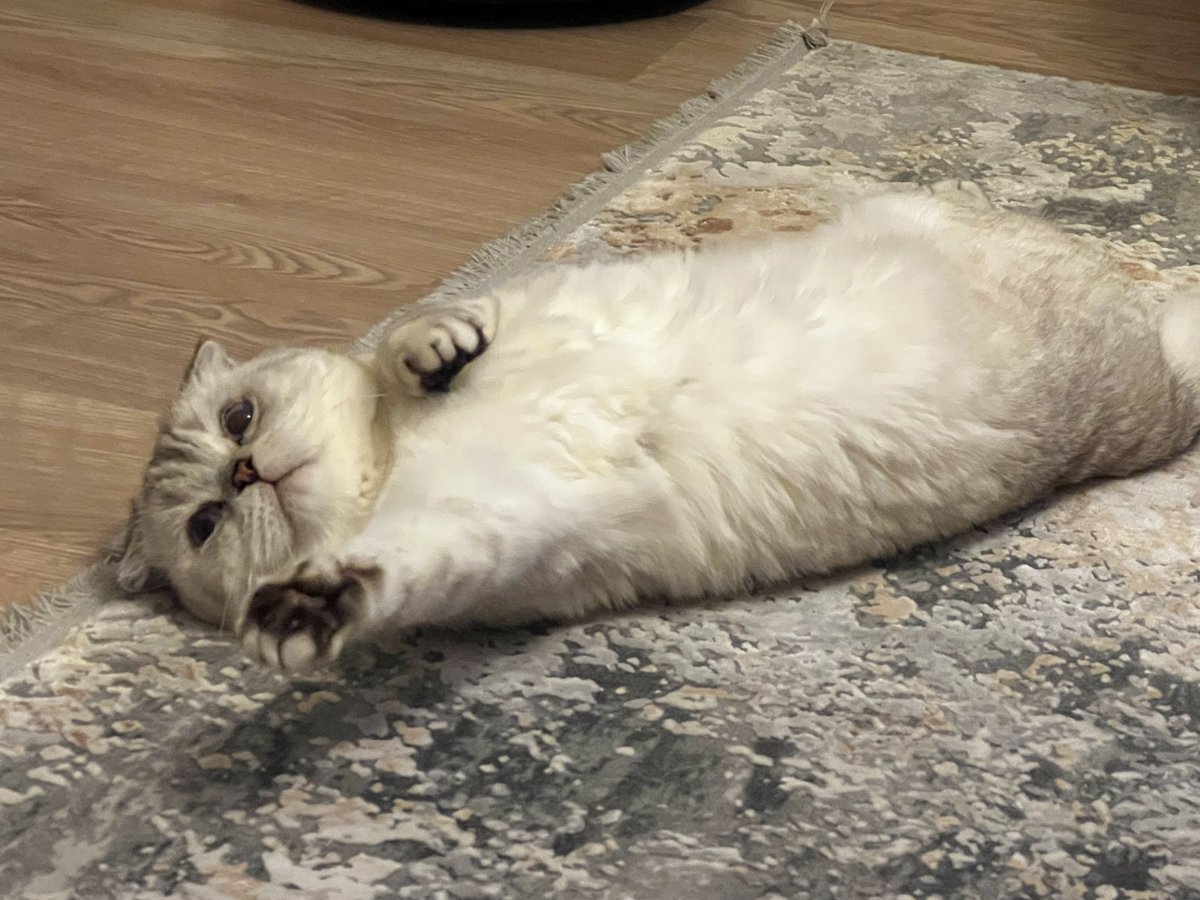 Soda istediğini tek bir hareket ile belli et.