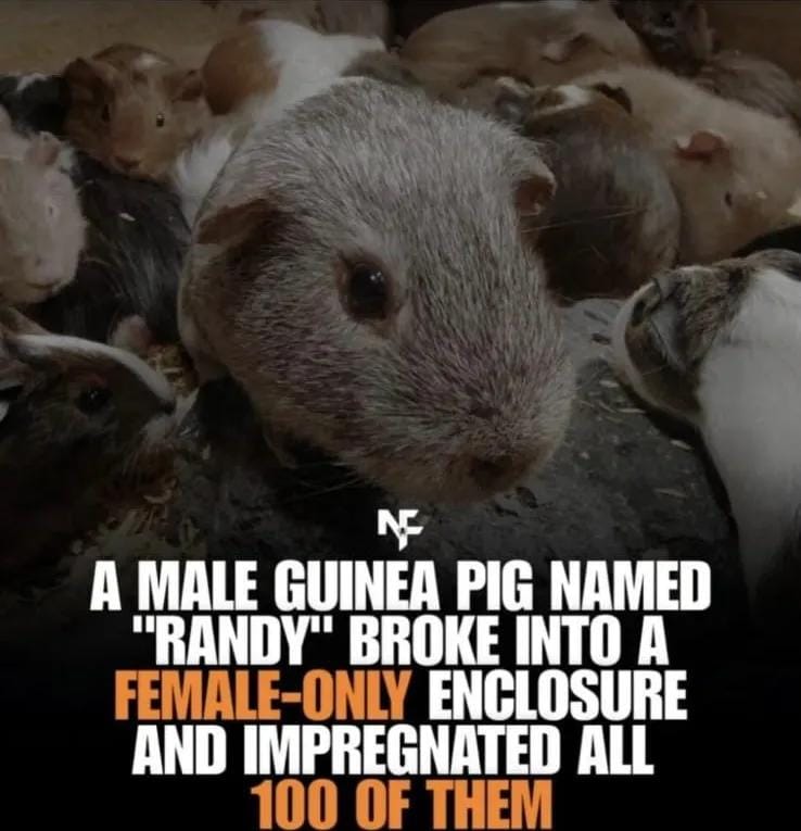 The World R🅰️nking (@worldranking_) on Twitter photo 