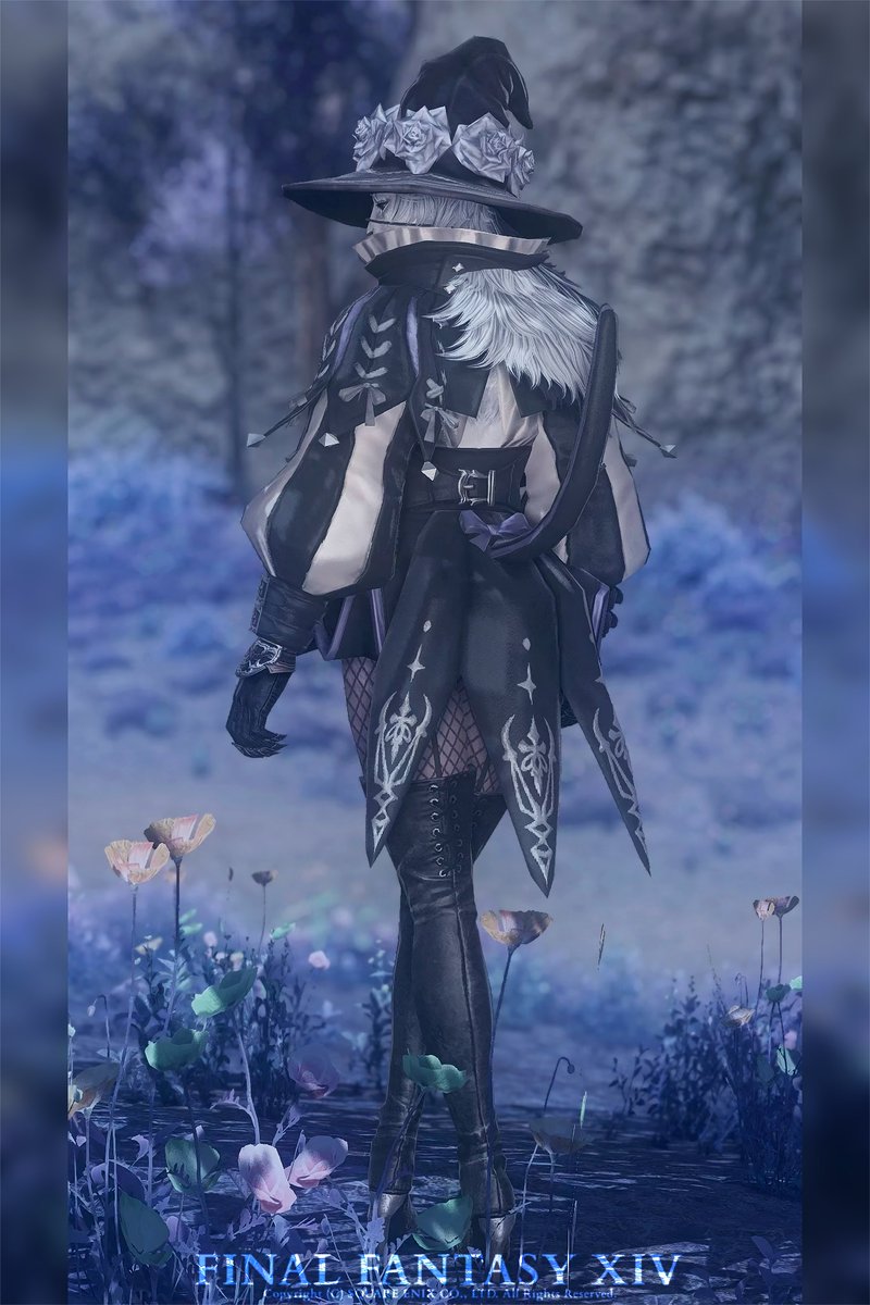 後ろ姿も可愛い🐈‍⬛ﾋﾟｰﾝ