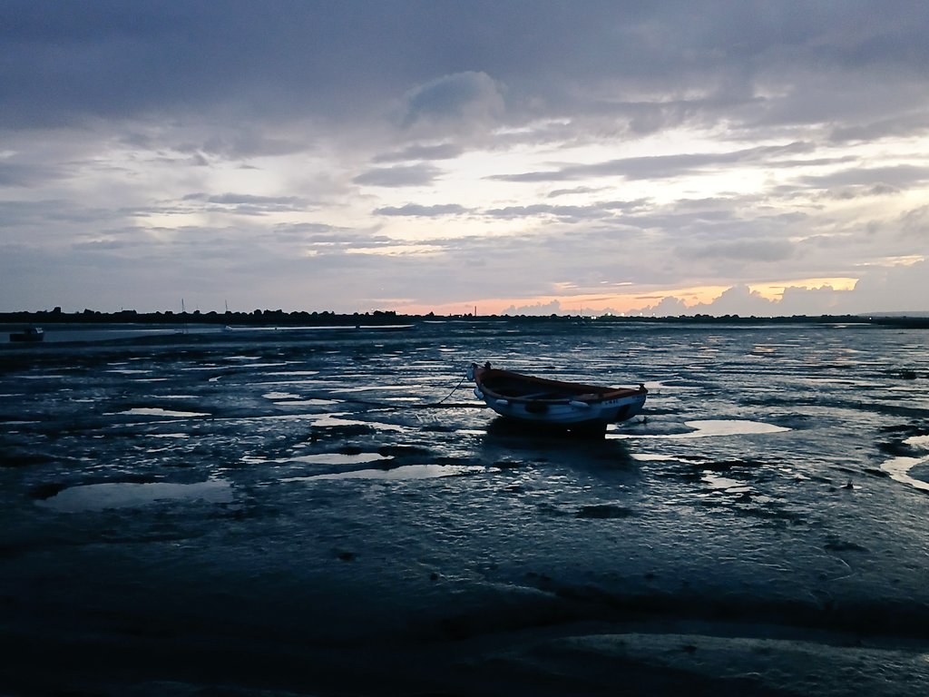 In praise of a mudflat twilight. Two Tree Island, Essex. #estuary