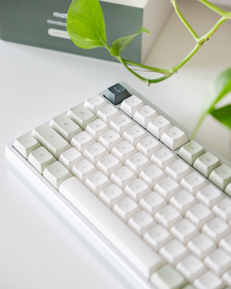 osumekeys's tweet image. what’s your current desk colour palette 🌱
nothing like a fresh summer green before fall kicks in. don’t miss your chance to grab the keycaps you like, because they’re going fast!

#osume #wfh #keycaps #keebs #cozyhobbies #desksetup #deskdecor #cozysetup