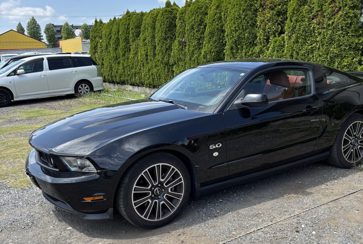 【注意：ラストチャンス】森野熊様 リクエスト 5点 まとめ商品 Fiex2tJVUAAjLvs-thumb-