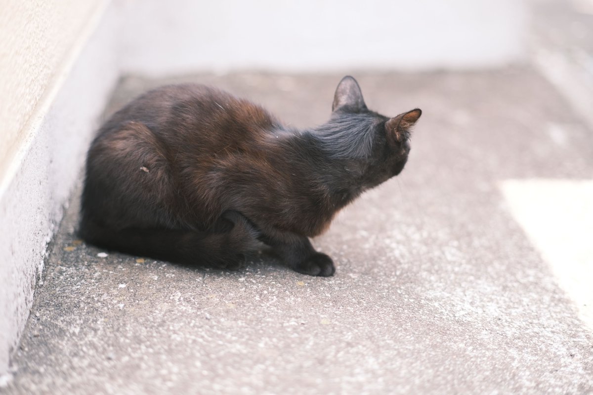 #無防備なクロジュを守りたい