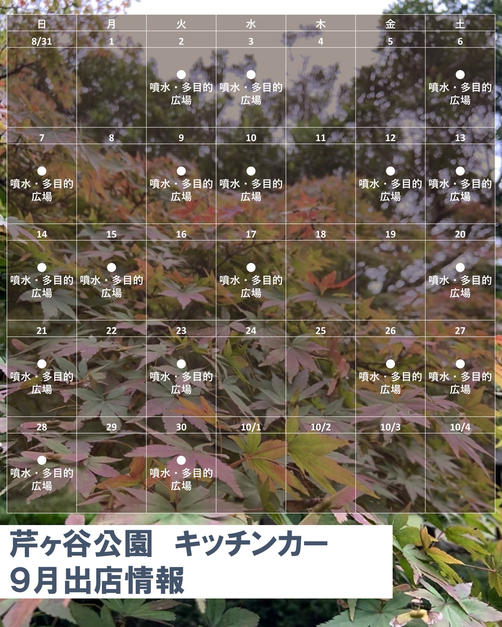 芹ヶ谷公園パークミュージアム（町田市公式） on X: 