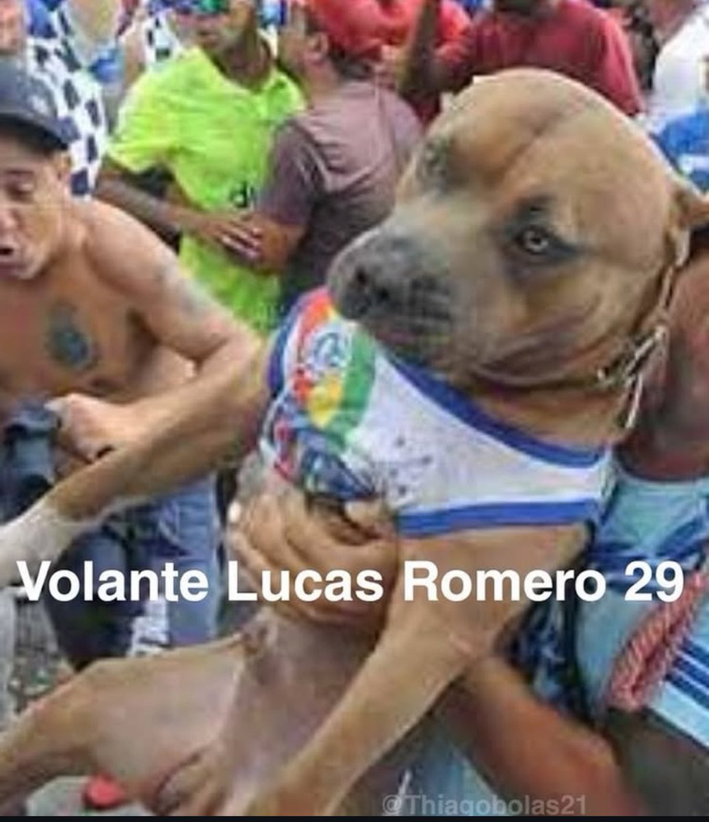 Centraldoocec's tweet photo. KKKKKKKKKKKKKKKKKKKKKKKKKKK
volante Lucas Romero https://t.co/lws6dsCIUm