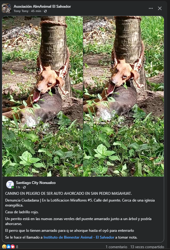 URGENTE <a href="/ApadrinaColitas/">ApadrinaColitas🐕🐶</a> <a href="/DameTuPatasv/">Dame Tu Pata 🇸🇻</a>  <a href="/peludos_sv/">Peludos sv</a>