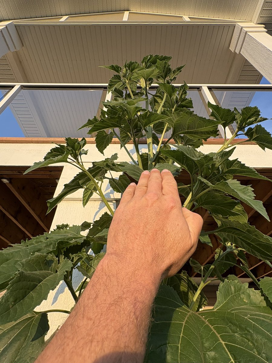 Mike Wasylyniuk tweet media