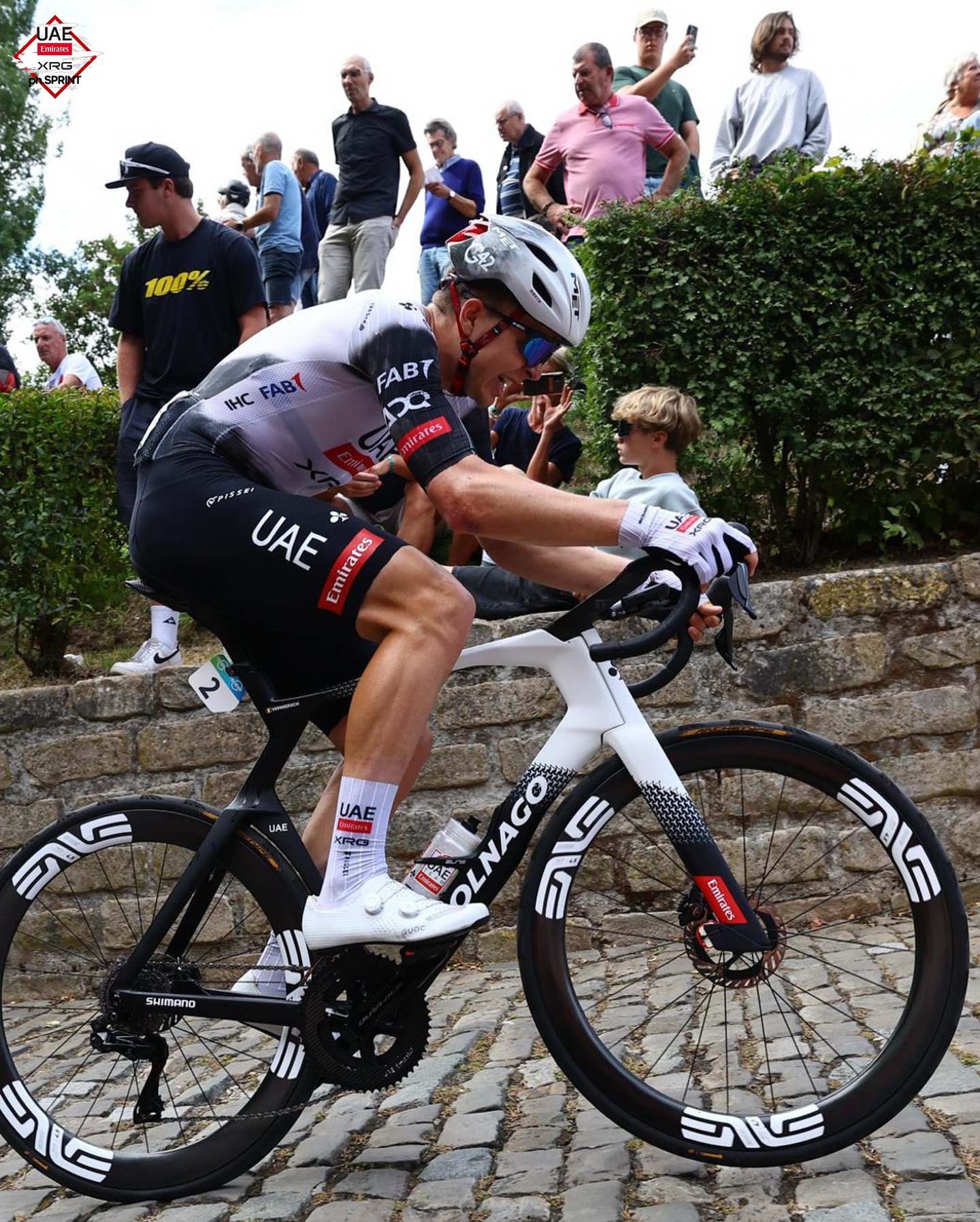 【直接引取のみ・即購入不可・購入後要修理・要部品交換】COLNAGO MONDO COLNAGO JAPAN on X: 