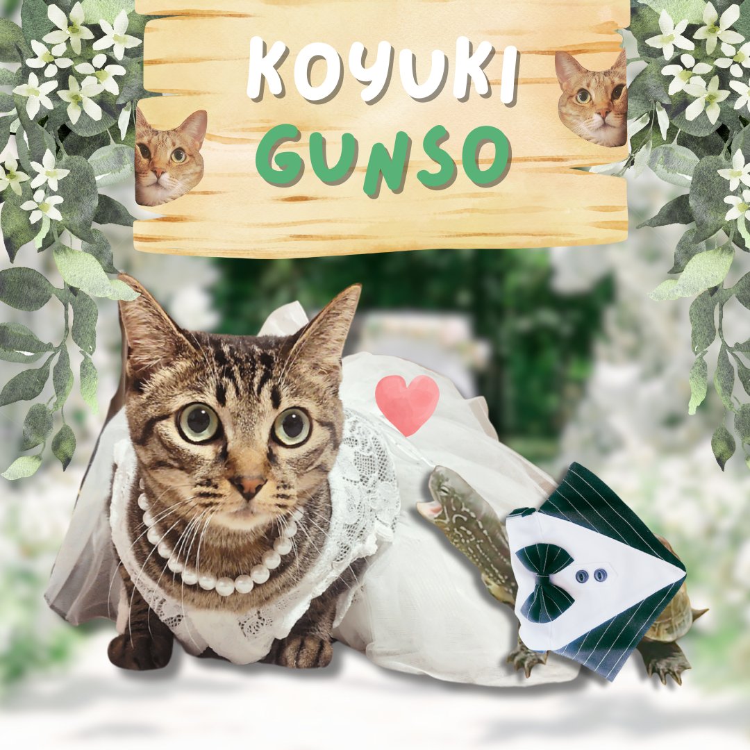 かわいすぎる写真撮れたので見て！！！！！