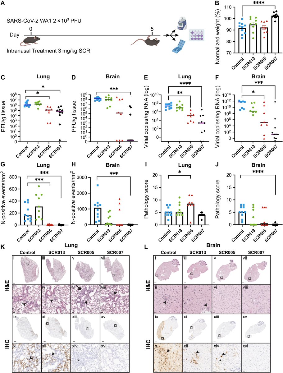 LabWaggoner's tweet image. Excellent work from exceptional immigrant scientists 🇮🇷🇮🇳🇬🇭🇬🇧🇲🇽🇩🇪 🇳🇱 with funding from #ArmyResearch Research @NIH #NIGMS #NIAID #DOD