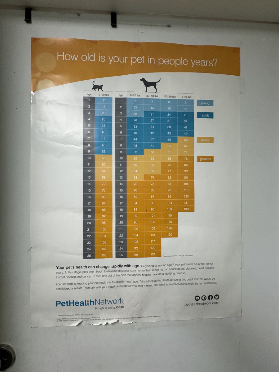 I took this picture at the vet today. Cool right?