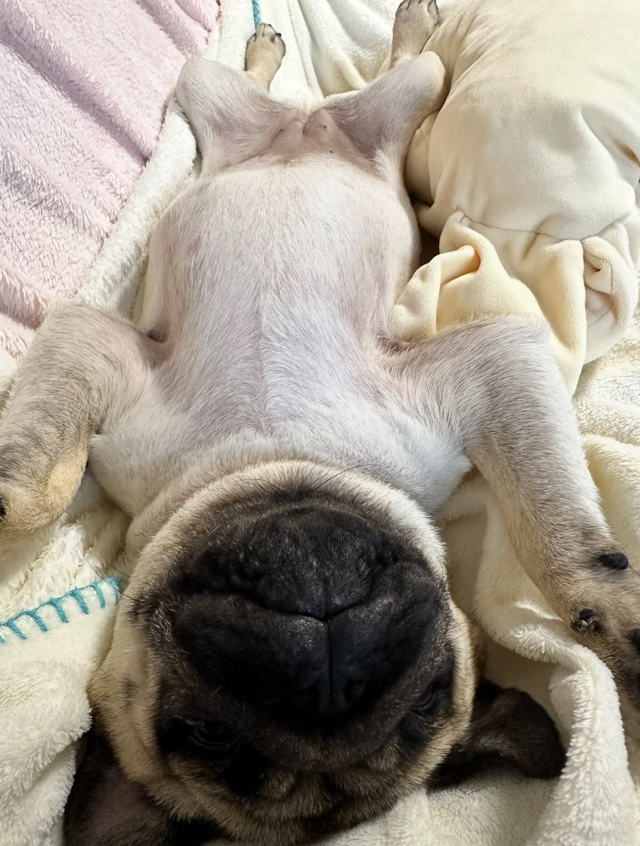 だいたい上向いて寝てます。