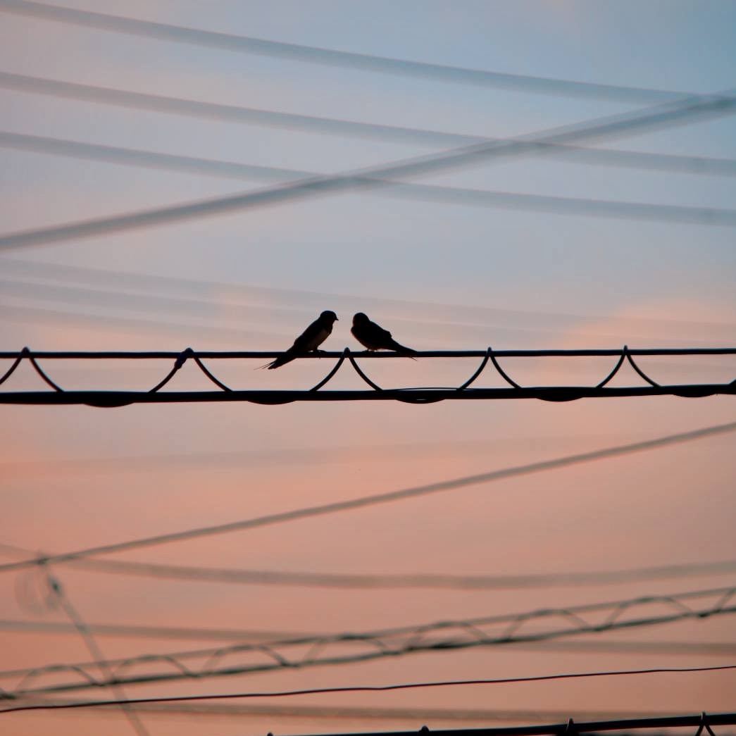 MusicChannel_J's tweet image. Music Project the BL00M, Centered Around 14-Year-Old Multi-Talented Musician HARU, Releases the Nighttime Background Music, Mellow Single “You don't wanna lonely”!

linkcloud.mu/7ada126e

@haru_the_bloom
#theBL00M #HARU #Isshin
#Hiphop #NeoSoul #BGM #Jpop #MusicChannel_J #MCJ