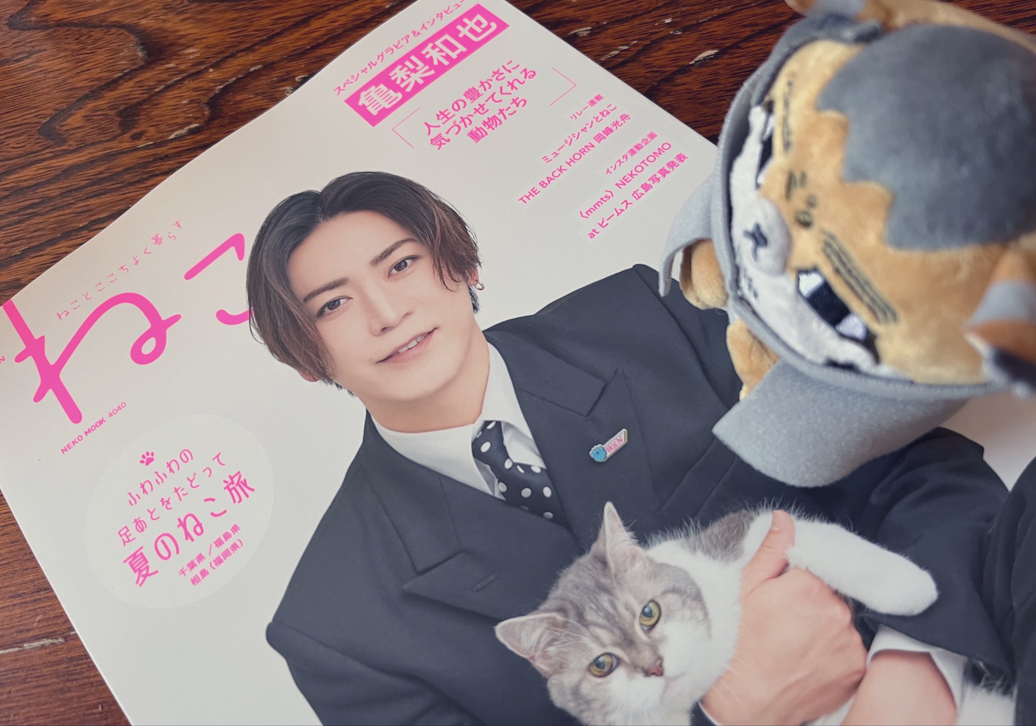 猫さん おしりちゃん1.5/3 on X: 